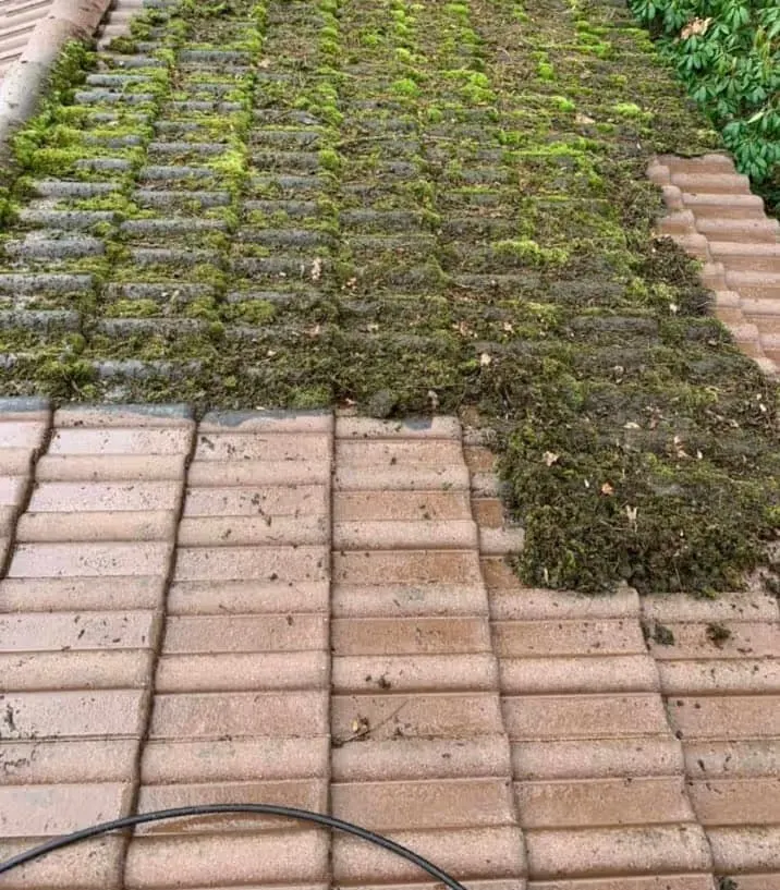 Dachziegel, zur Hälfte vom Moos befreit