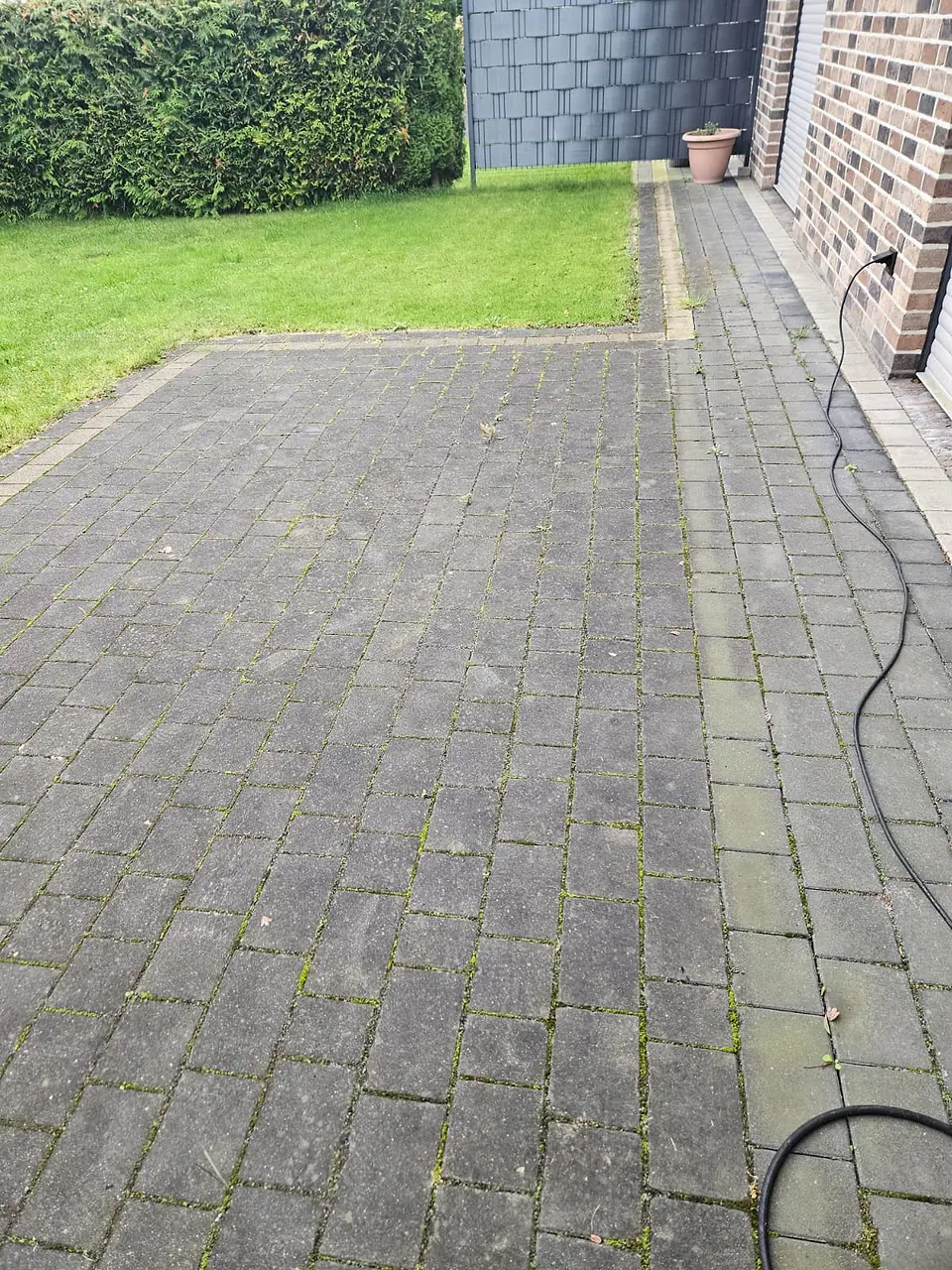 Dunkles Pflaster an einem Wohnhaus, in den Fugen wächst Moos