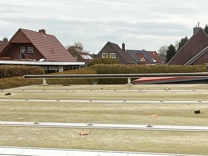 Flaches Terrassendach aus Stegplatten, grün veralgt, mit Laub und Moos auf den Platten